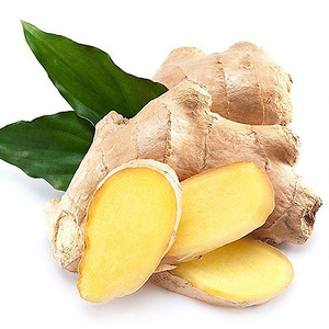 Gingembre bio indien frais et sec de meilleure qualité - Product Image 1