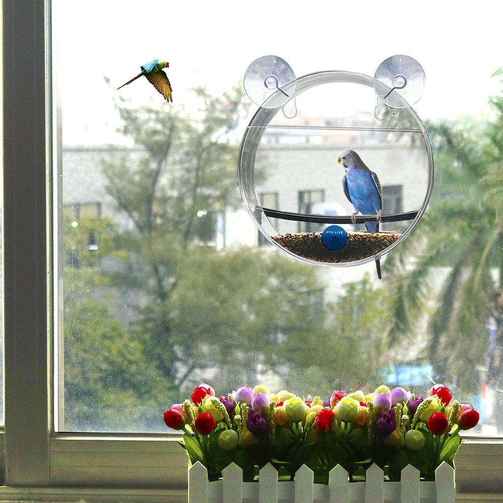 Comedero Para Pájaros Con Ventosa HunicandIU, Acrílico Transparente Con Posadero Y Columpio, Para Ventana O Balcón, Fácil De Instalar