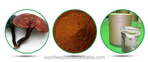 Cinese a base di erbe <span class=keywords><strong>medcine</strong></span> ganoderma lucidum estratto, 100% naturale fungo reishi estratto in polvere - Product Image 4