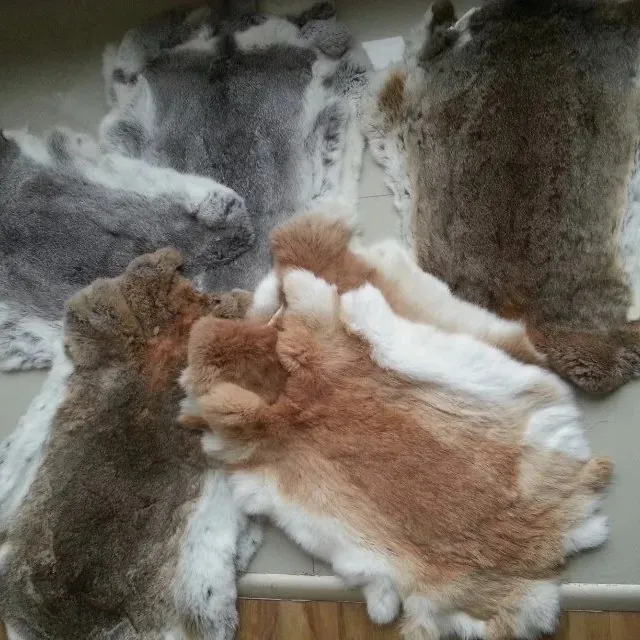 Bán Buôn Lông Tấm Da Rám Nắng Da Thỏ Trong Màu Sắc Tự Nhiên Thỏ Da Lông Pelt Rabbit Fur Da