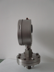 Pengukur Tekanan Diafragma Segel Kimia Baja Tahan Karat 100Mm - Product Image 6