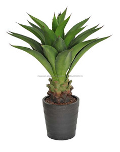Barato artificial plantas de ornamentación vivir <span class=keywords><strong>del</strong></span> aire interior árboles bonsai artificial planta de <span class=keywords><strong>agave</strong></span> - Product Image 3