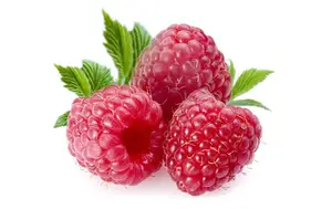 HALAL HALAL Natural 98% Ekstrak Bubuk Raspberry Keton