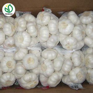 Nueva China ajo blanco fresco encurtidos ajo almacenamiento a guinea - Product Image 3