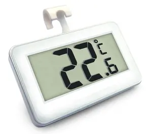 Cold Room Thermometer