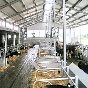 Environmental protection steel structure dairy cow shed house farm design