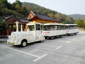 Chiuso carburante elettrico passeggeri della strada turismo turismo turismo grande termostato treno con la porta chiusa a chiave e la finestra chiusa per la vendita - Product Image 3