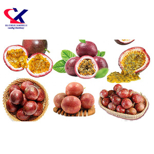 Công nghiệp Niềm Đam Mê Trái Cây Extractor Fratelli Indelicato, Niềm Đam Mê Nước Ép Trái Cây Máy Chế Biến, 3000 kg/giờ Niềm Đam Mê trái cây Peeler - Product Image 6