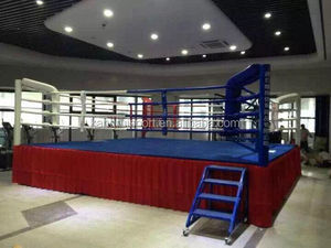 <span class=keywords><strong>Ring</strong></span> de <span class=keywords><strong>Boxeo</strong></span> Estándar IBF - Product Image 2