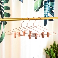 Metal Clothes Hanger with 2 Pinch Clips, Non-Slip