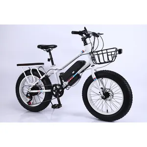 Rueda de suspensión completa para bicicleta de montaña, llanta ancha eléctrica, 250w, 750w, kit de 48v, motor de tracción media de 3000w