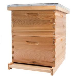 Cheapest bee box