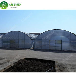 Hail Resistant <strong>Etfe</strong> <strong>Film</strong> 200 Micron <strong>Greenhouse</strong> Plastic for Agriculture - Product Image 6