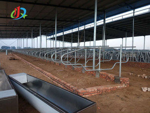 <span class=keywords><strong>Cage</strong></span> pour animaux libre séparée de stalle de vache galvanisée de nouvelle conception - Product Image 4