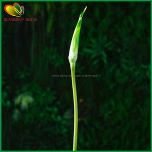 Artificielle calla lily bourgeons réel tactile faux calla lily <span class=keywords><strong>fleur</strong></span> bourgeons pour la décoration - Product Image 5