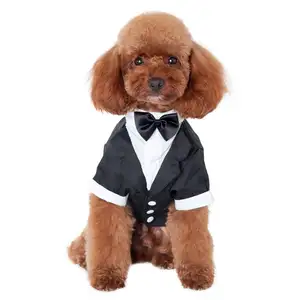 Elegante terno formal de laço e laço, camisa com laço preto, roupas de cachorro pequeno