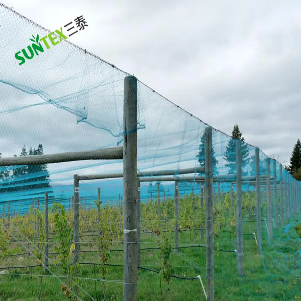 Ép đùn nhựa hàng rào lưới bop kéo dài Net làm vườn chống Bird Net