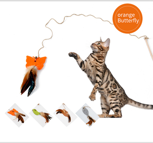 2018 mejor gato suministra campana juguete interactivo del gato naturaleza pluma teaser - Product Image 6