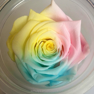 Hoa Hồng Vĩnh Cửu Nhiều Màu Hoa Hồng Bảo Quản Thật - Product Image 5