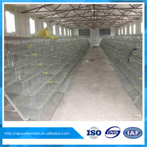 Comercio Garantía <span class=keywords><strong>de</strong></span> <span class=keywords><strong>codornices</strong></span> jaula para la venta - Product Image 2