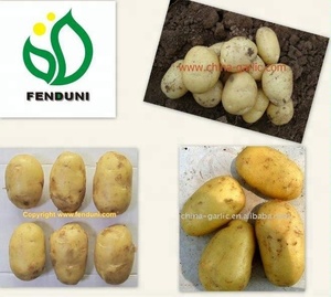 Venta de Papas Russet en Caja, Precio Nuevo - Product Image 4
