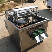 Hoogwaardige automatische ontpitmachine voor dadels, pruimen, kersen en longan.