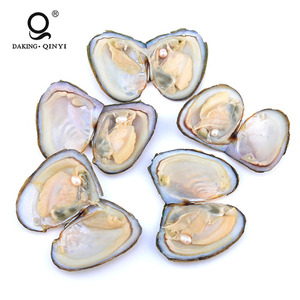 L'ostréiculture Vente Emballés Sous Vide Aaa Ronde Oyster <span class=keywords><strong>Perle</strong></span> <span class=keywords><strong>Prix</strong></span> - Product Image 3