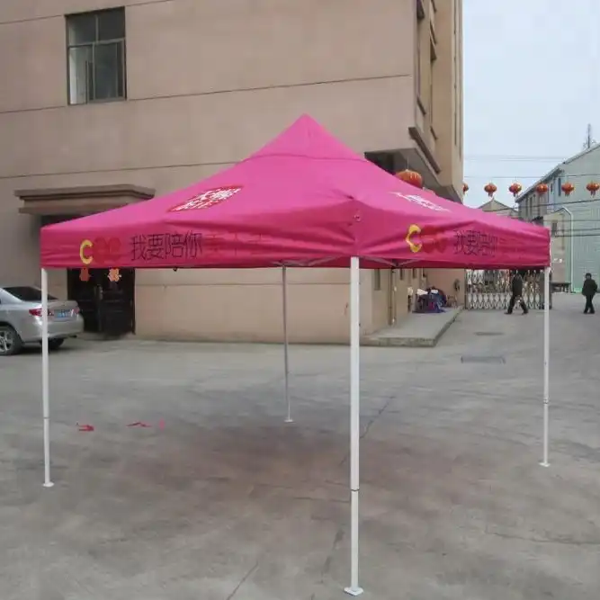 Toldo Carpa Plegable Portable 3x3 Funda Para Transportar Ms