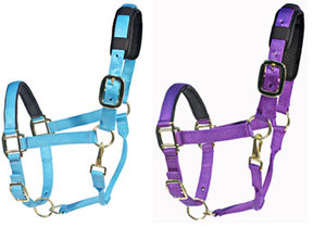 Briglie o Cavezza in Nylon <span class=keywords><strong>per</strong></span> <span class=keywords><strong>Cavalli</strong></span> - Product Image 3