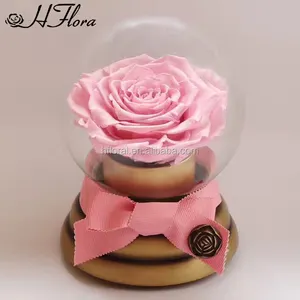 Luxury Gift fresh rose Preserved Flower Roses in glass