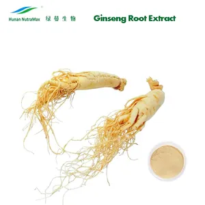Poudre d'extrait de Ginseng américain à base de plantes pour suppléments