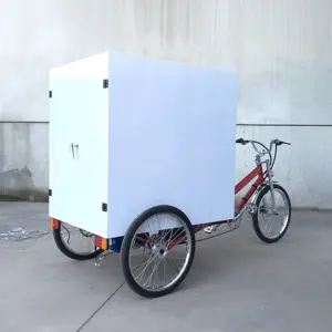 Closed Box Electric Cargo Delivery tricycle