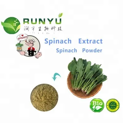 Натуральный органический растительный экстракт шпината, органический порошок экстракта шпината, оптовая продажа