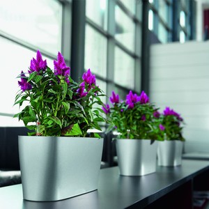 Planteur de bureau en plastique, sous vide, pot de fleurs, vase en verre, pour plante de jardin, vente en gros, injection, vente en gros - Product Image 5