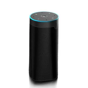 ACEMAX HF30 Alexa BT Haut-Parleur Intelligent XL-V UN Multi-room Audio Haut-Parleur avec Compatibilité WiFi pour la Musique En Streaming