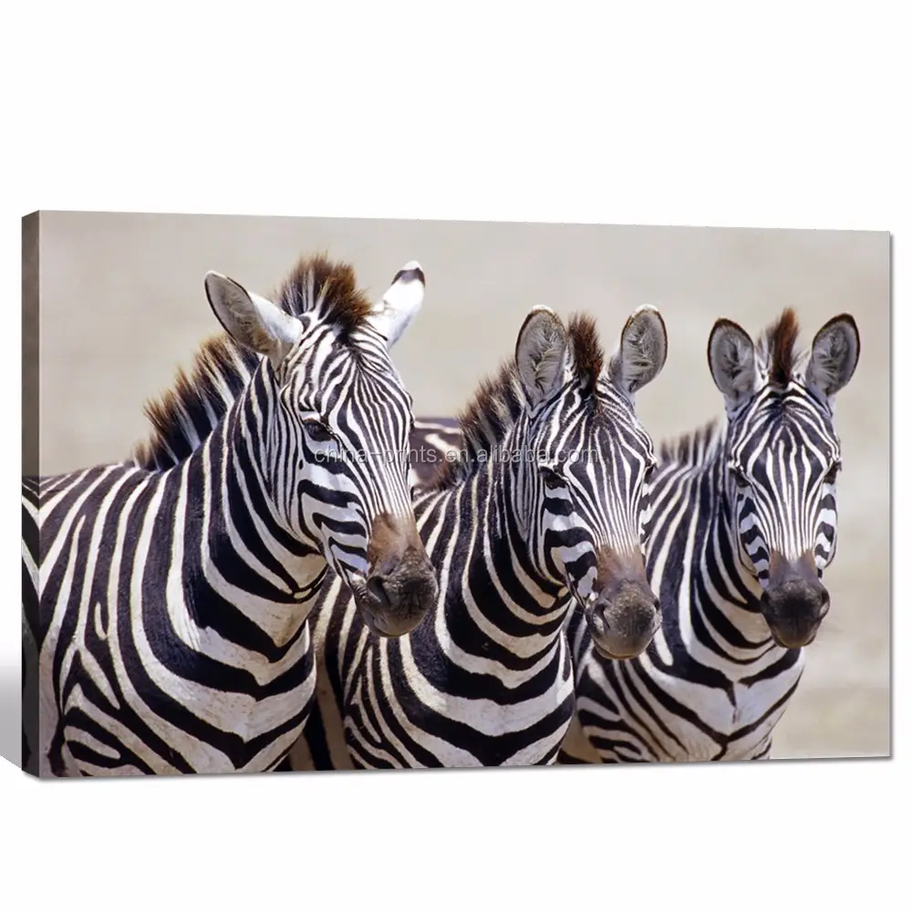 Modern Canvas Wall Art for Home Decoration/african Zebra Canvas Art for Dropship/animal Pictures Giclee Print on Canvas
