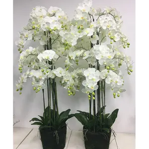 Großhandel künstliche Orchideen blume Riesen imitat Phalaenopsis Blume mit Topf Orchidee Faux
