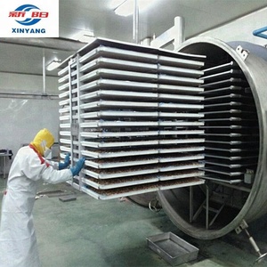 Sèche-congélation de fruits et légumes, appareil de travail plus stable et plus long, modèle LG200, chambre en acier inoxydable 304 - Product Image 2