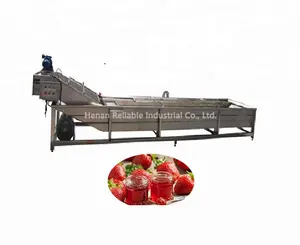 commercial 304 stainless steel strawberry cleaning machine and washing machine for sale