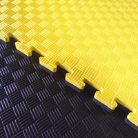 Seconde main judo taekwondo tigre tapis de puzzle