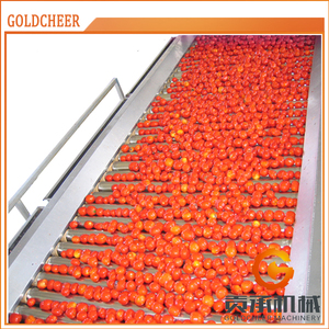Precio de fábrica de tomate máquina de clasificación y manzana máquina de clasificación - Product Image 5
