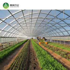 15 años de garantía de plástico barato agricultura único de túnel invernadero - Product Image 4