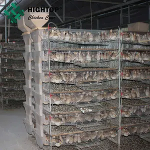 full automatic feeding metal quail laying cage water drinker prices