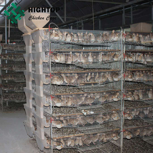 <span class=keywords><strong>Precio</strong></span> barato Fácil instalación Comercial Alimentación completamente automática Jaula de colocación de codornices de metal con bebedero de agua - Product Image 1