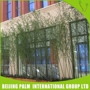China Venta Directa Artificia Árboles de Hoja Perenne - Product Image 1
