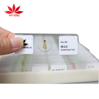 Teaching Resources Fixed 100 Kinds Set Animal Tissue and Insects Types of Microscope Prepared Slides