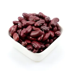 size 200-220pcs/100g china market High quality dark red kidney bean
