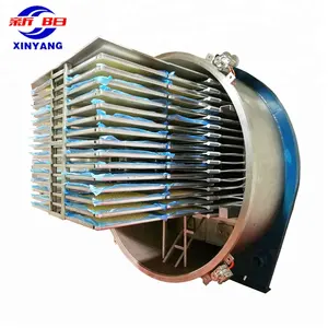 Freeze dried food industrial fruit and vegetable freeze drying machine for sale lyophilizer freeze dryer