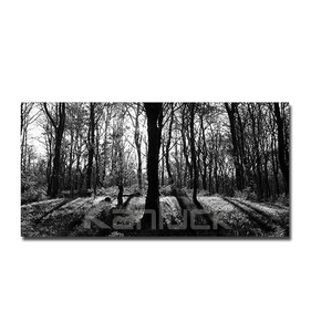 Tranh In Ảnh Phong Cảnh Rừng Trên Vải Bạt - Product Image 1