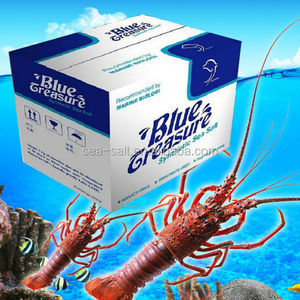 Exportador artificial acuicultura <span class=keywords><strong>mar</strong></span> sal vivir langosta congelada - Product Image 2